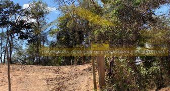 CI439 - Vendo chacara de 2 hectares no povoado Barro Preto em Crucilândia